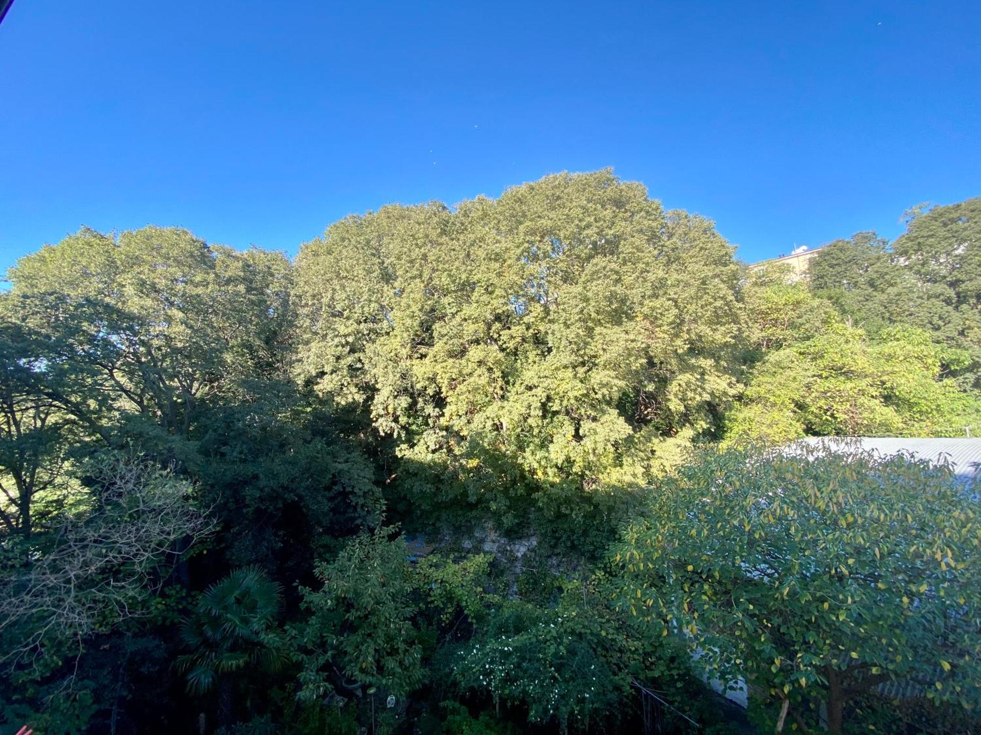 B&B Porto Vivo Trieste Dış mekan fotoğraf